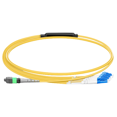 MTP / MPO harnesses