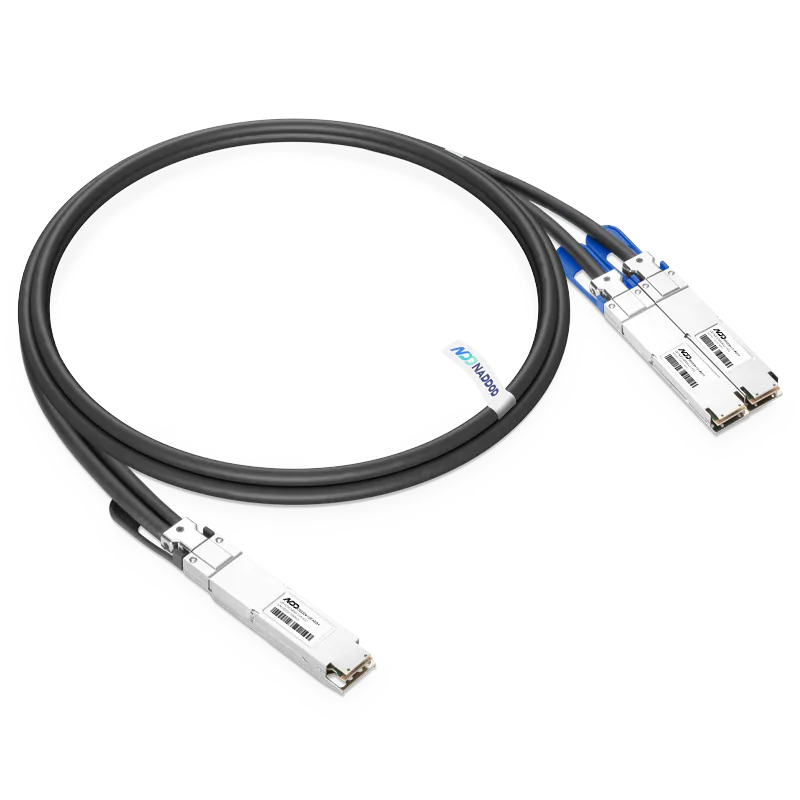 1.6T OSFP224 to 2×800G breakout DAC